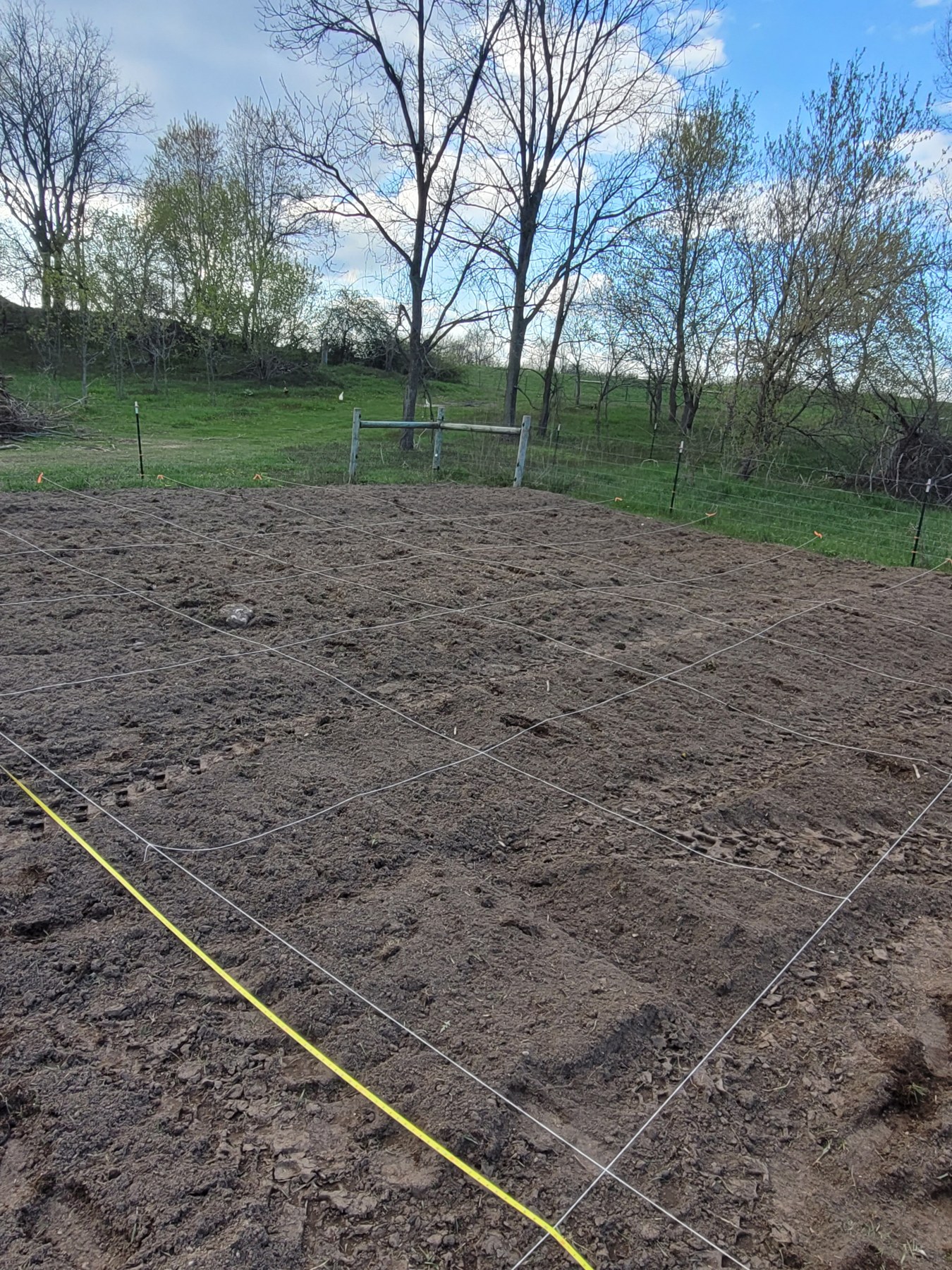Freshly tilled garden soil marked out with strings beside the orchard.