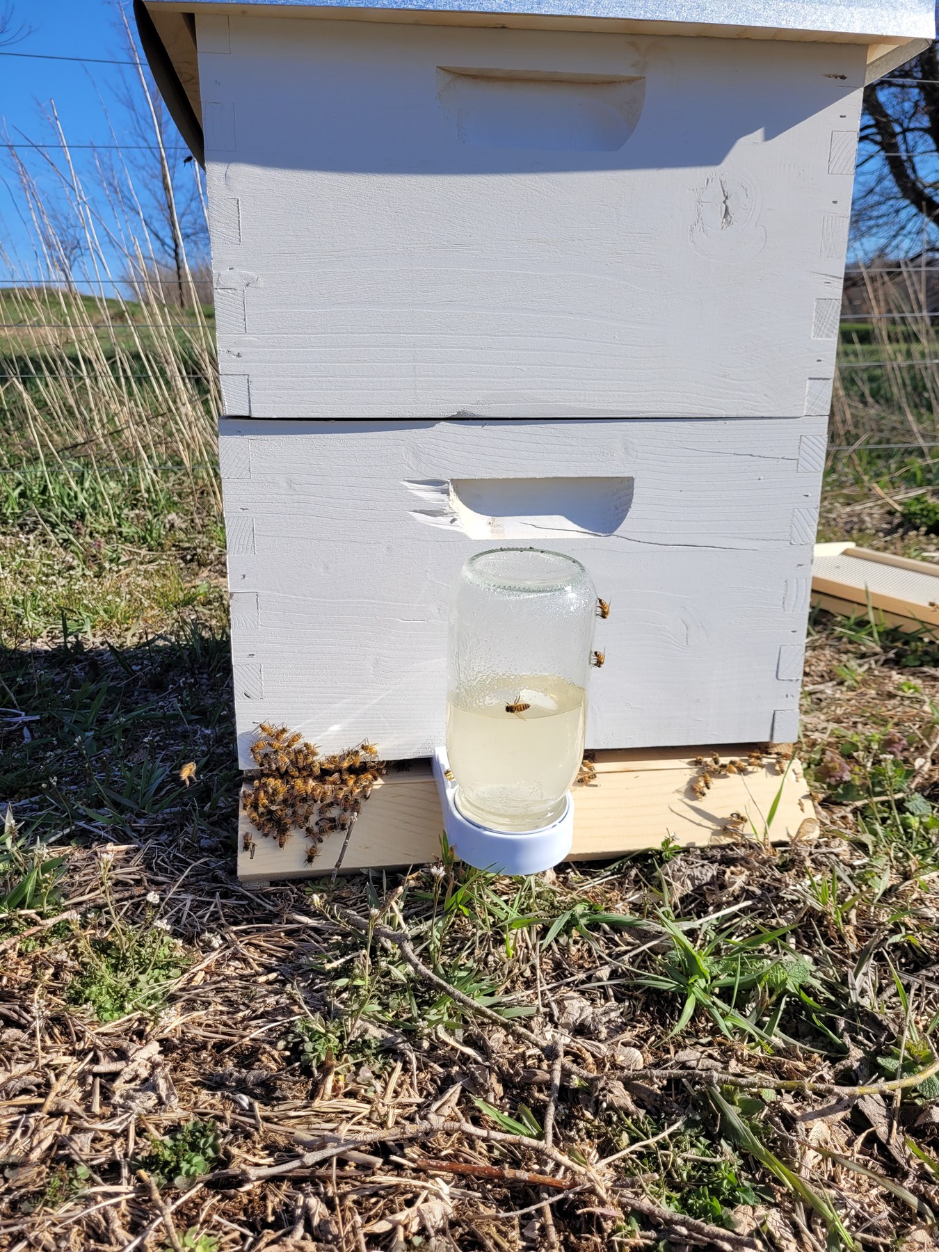 Bees at the entrance of a white hive beside a jar feeder.