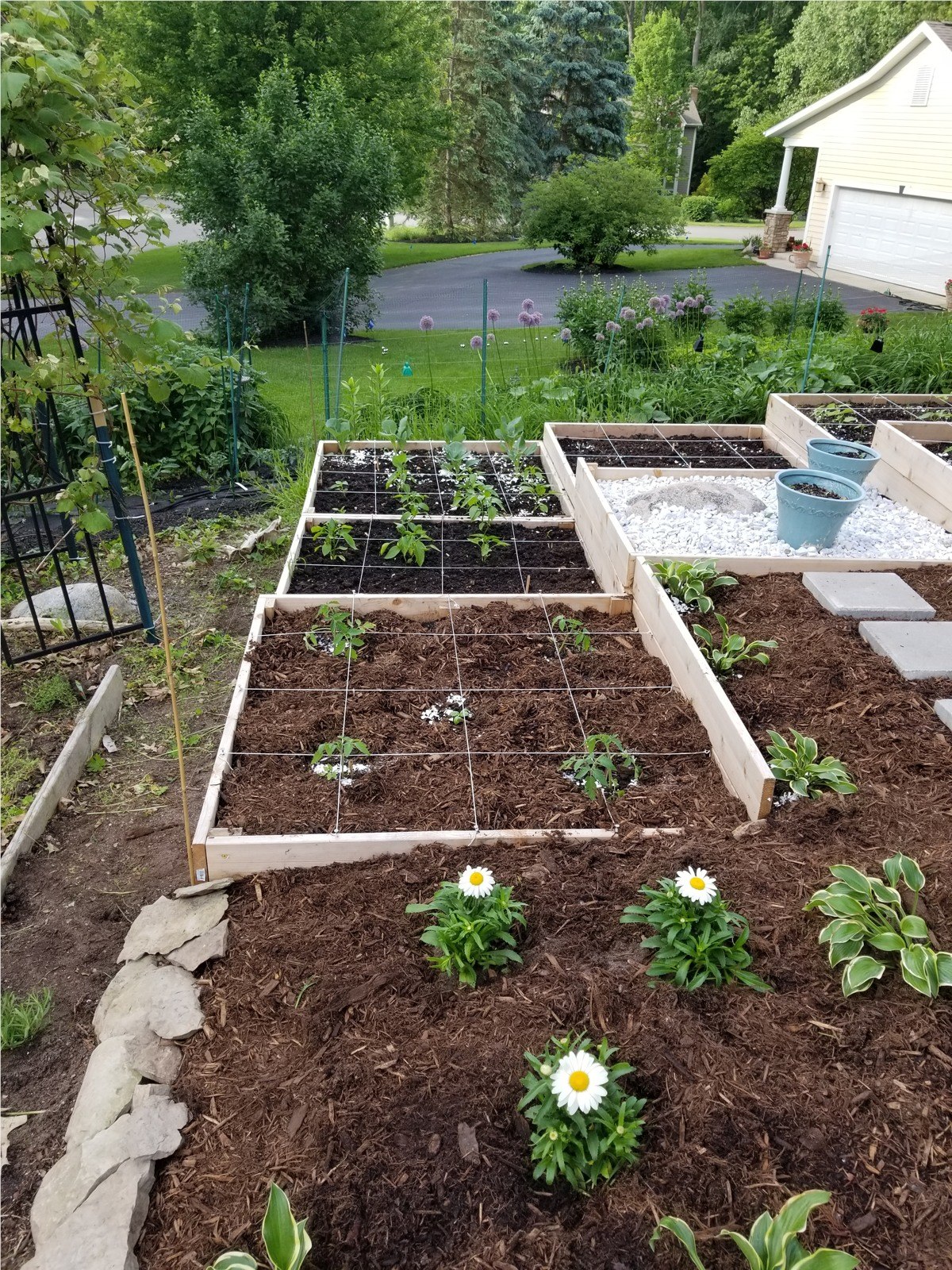 Raised garden beds and flowers in the wooded Burrwick garden.