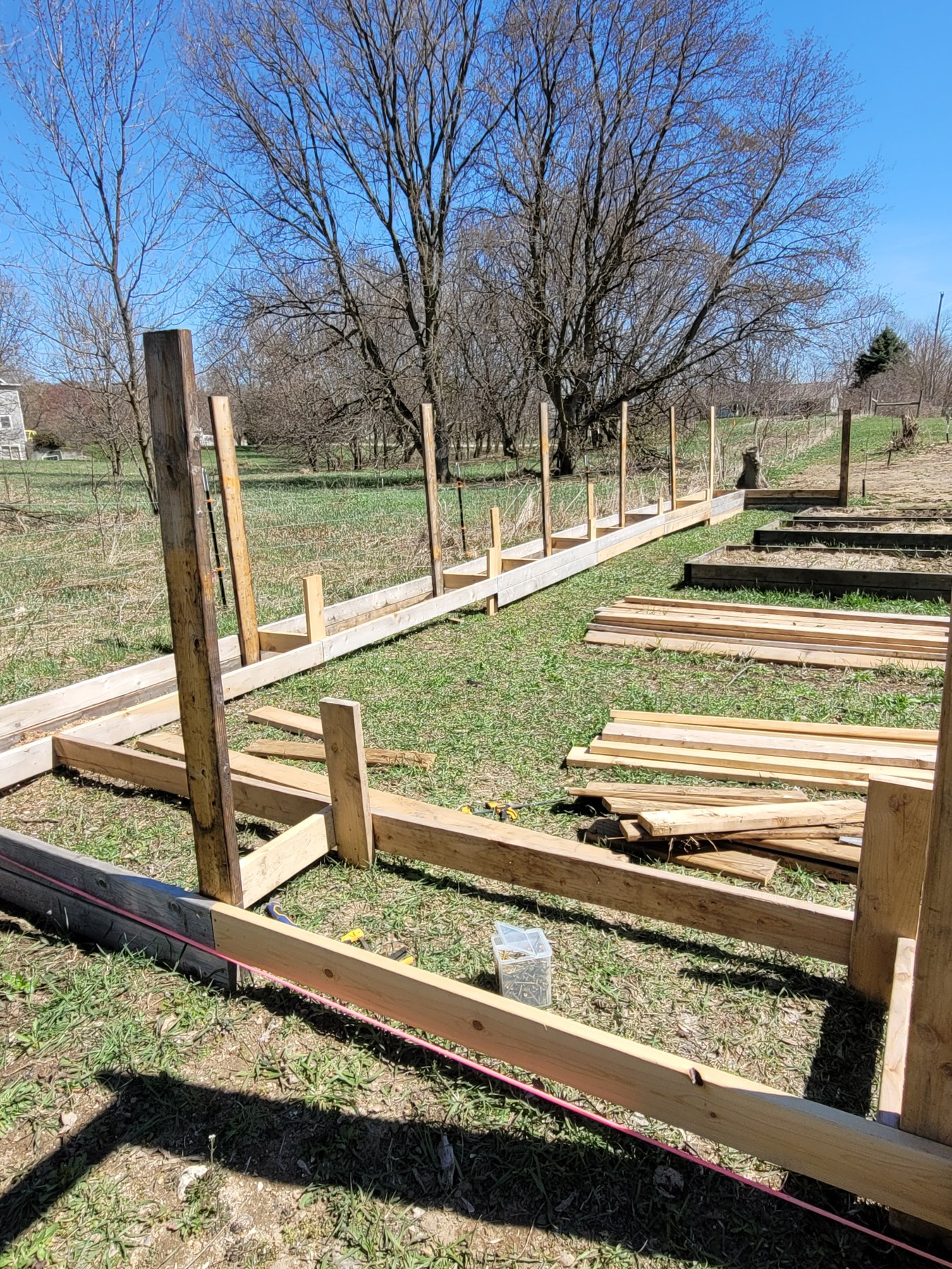 The perimeter boards, upright posts, and pink layout line during construction, April 2026.
