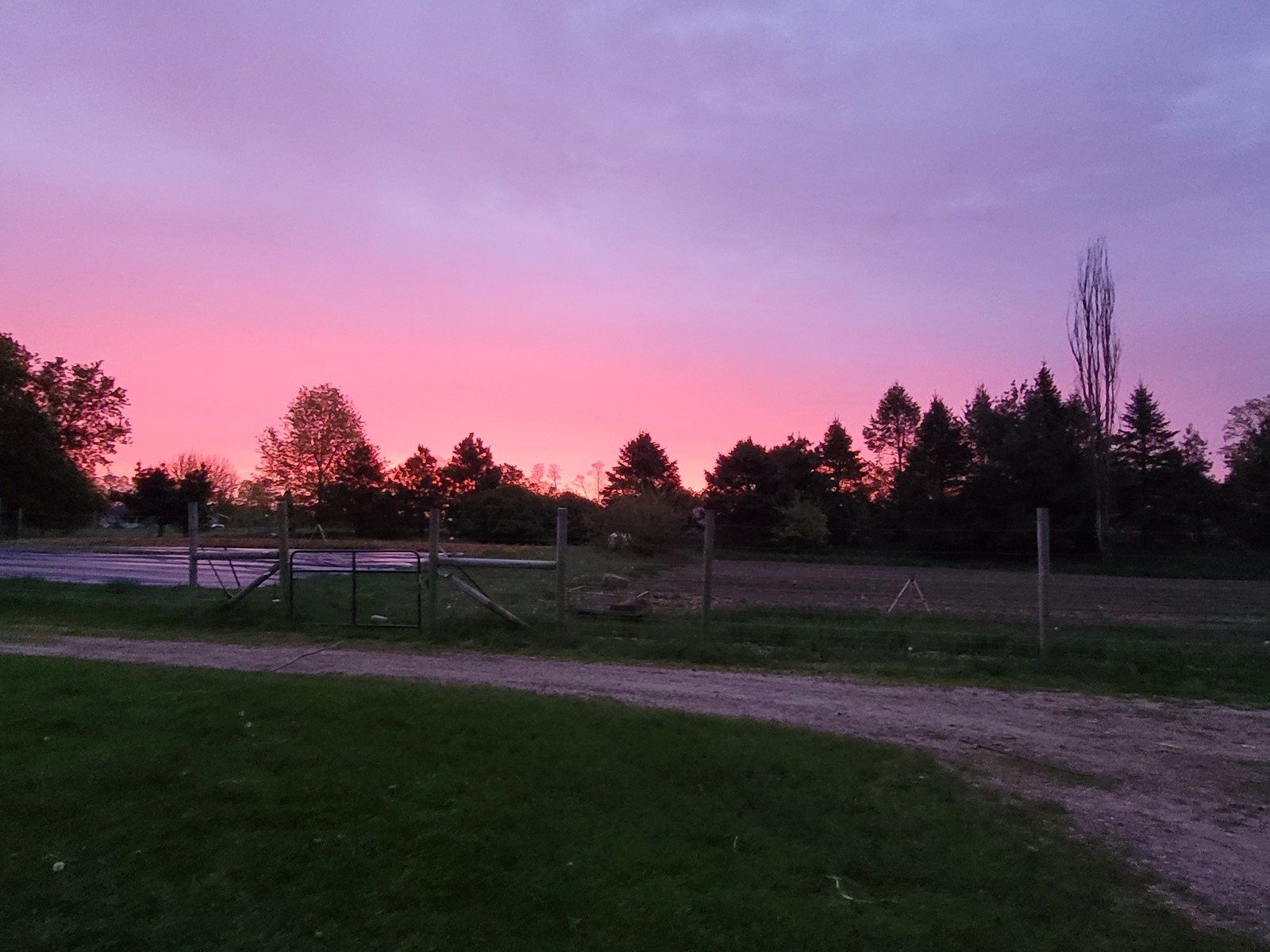 Pink sunrise above the fenced garden.
