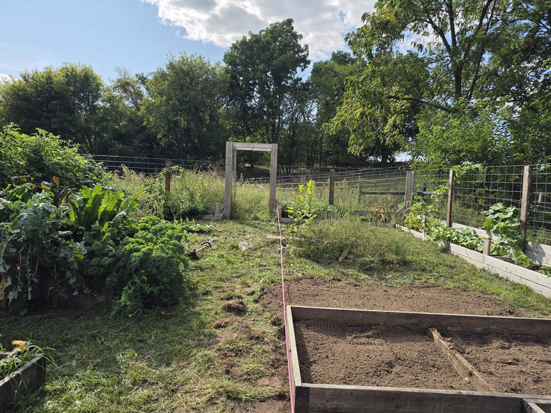 Reworking the island beds, September 2026.