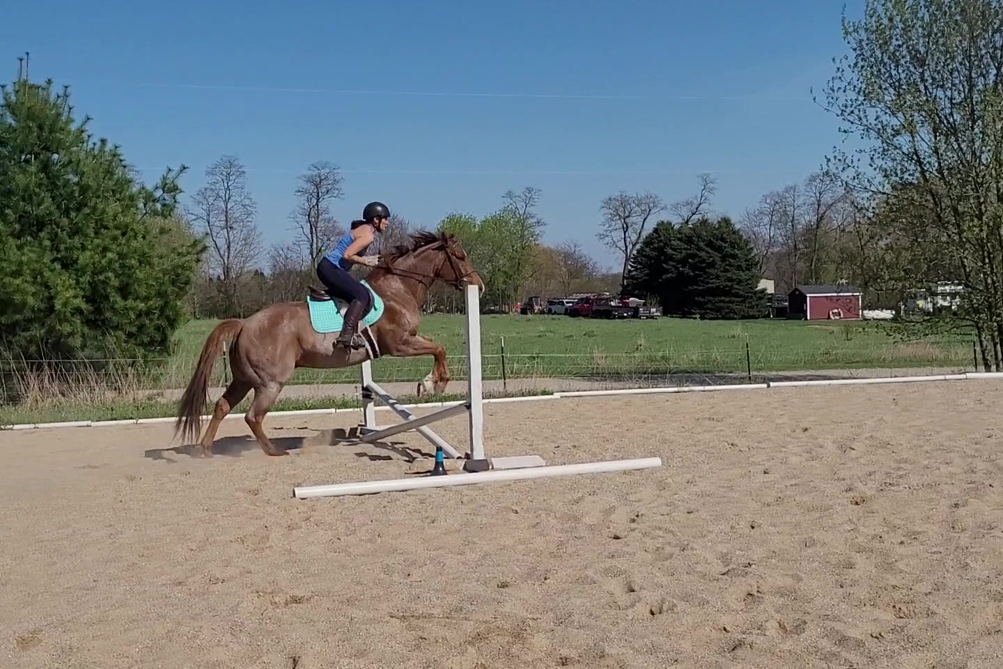 Horse and rider going over a small crossrail in the outdoor arena.