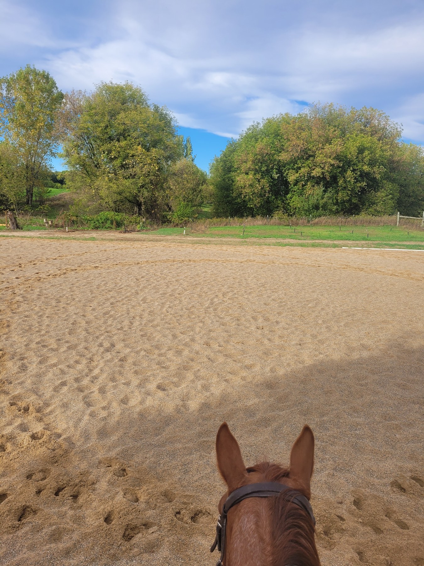A view from the saddle, October 7, 2025.